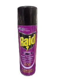 Raid Multipurpose Spray 180ml